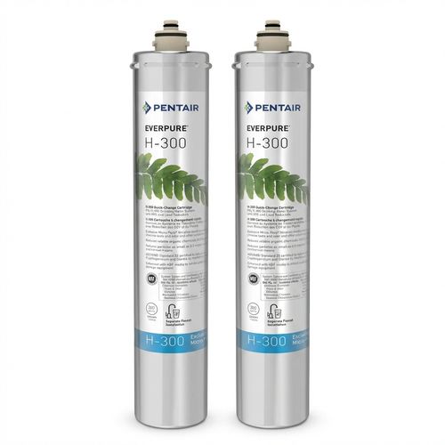 Everpure H-300 Filter 2-Pack